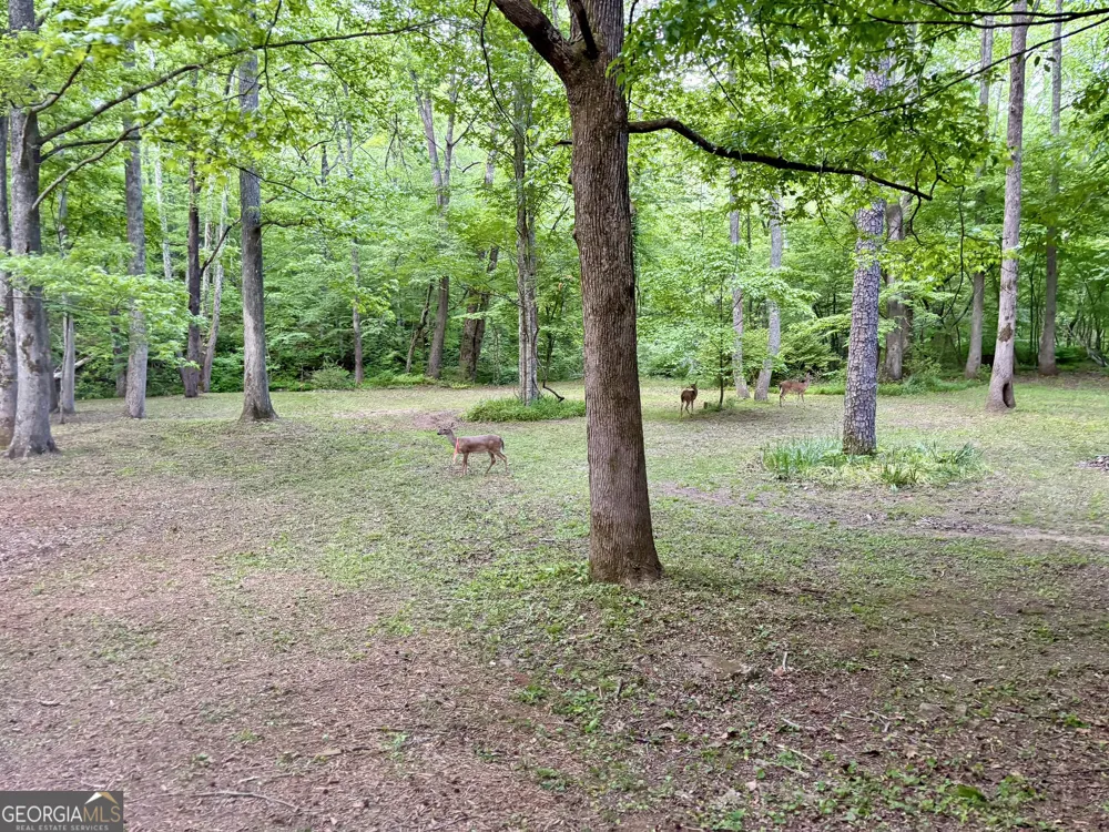 LT 5 Spiva Cove RD Blairsville, GA 30512
