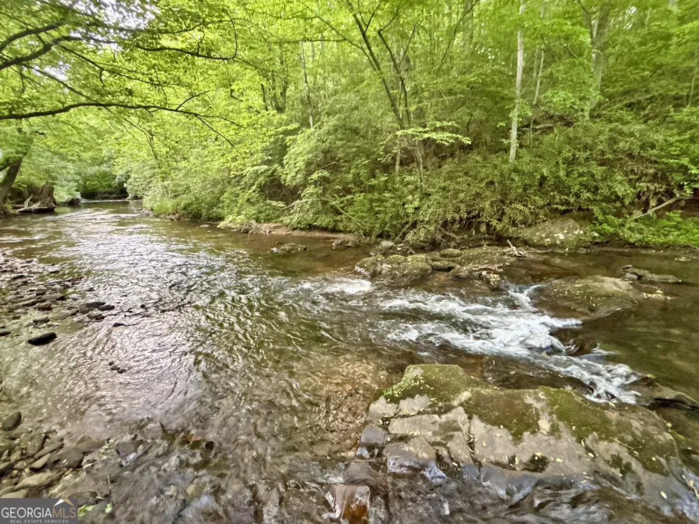 LT 5 Spiva Cove RD Blairsville, GA 30512