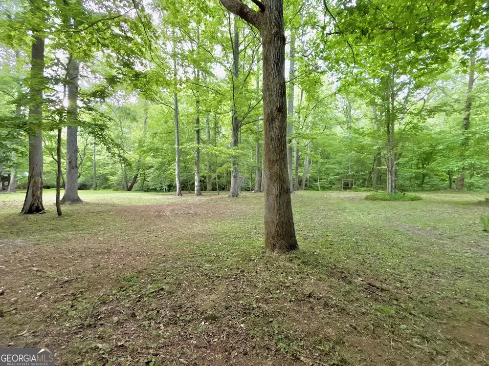LT 5 Spiva Cove RD Blairsville, GA 30512