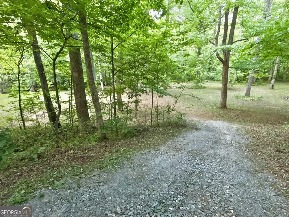 LT 5 Spiva Cove RD Blairsville, GA 30512