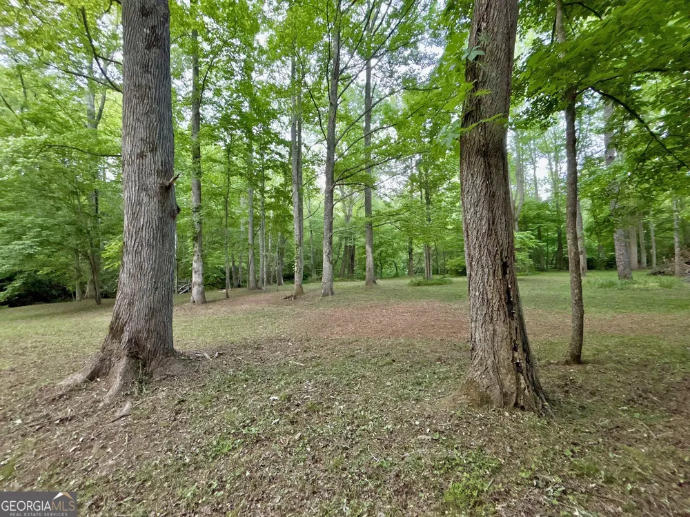 LT 5 Spiva Cove RD Blairsville, GA 30512