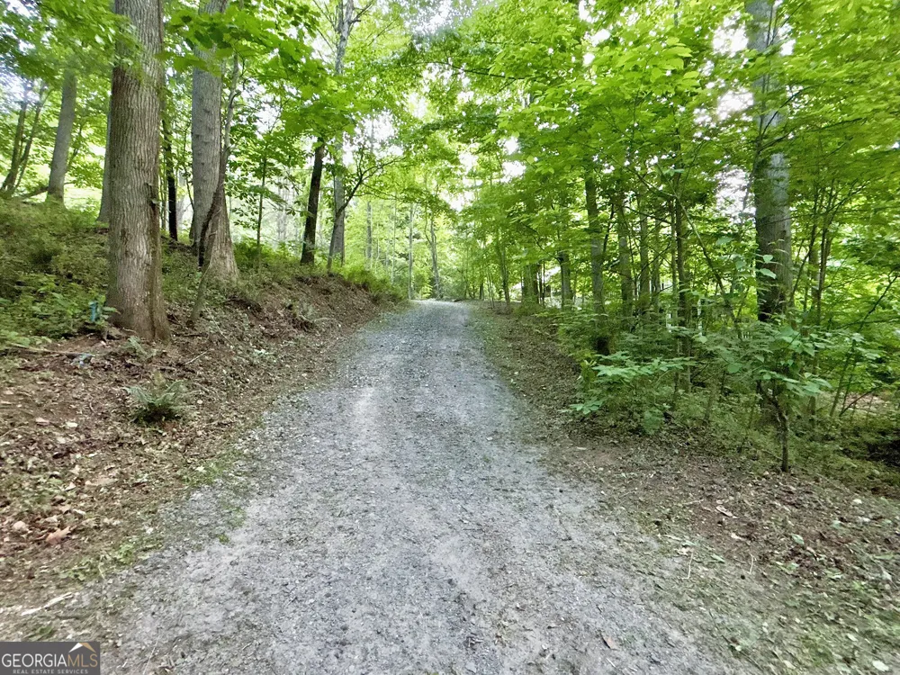 LT 5 Spiva Cove RD Blairsville, GA 30512
