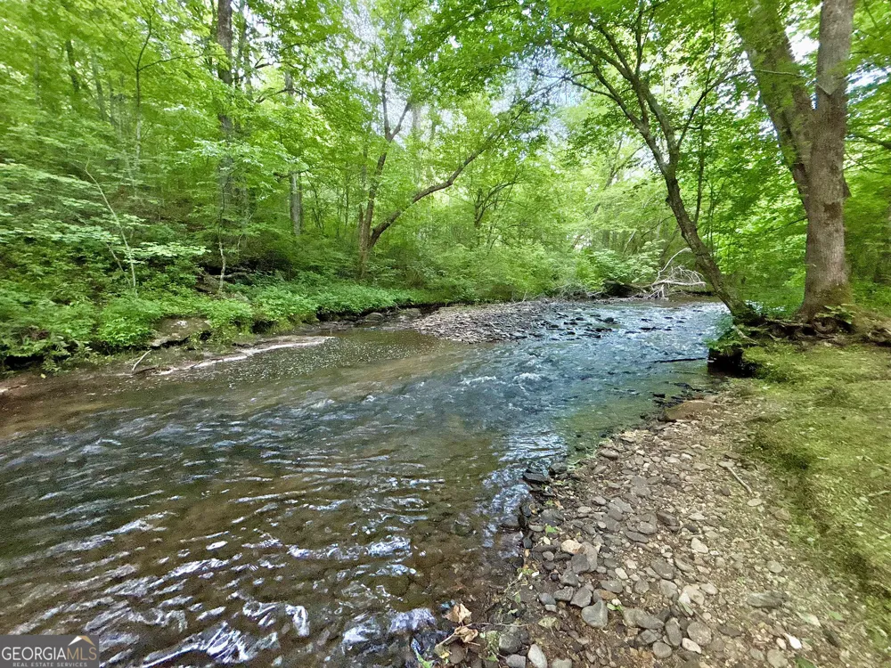 LT 5 Spiva Cove RD Blairsville, GA 30512