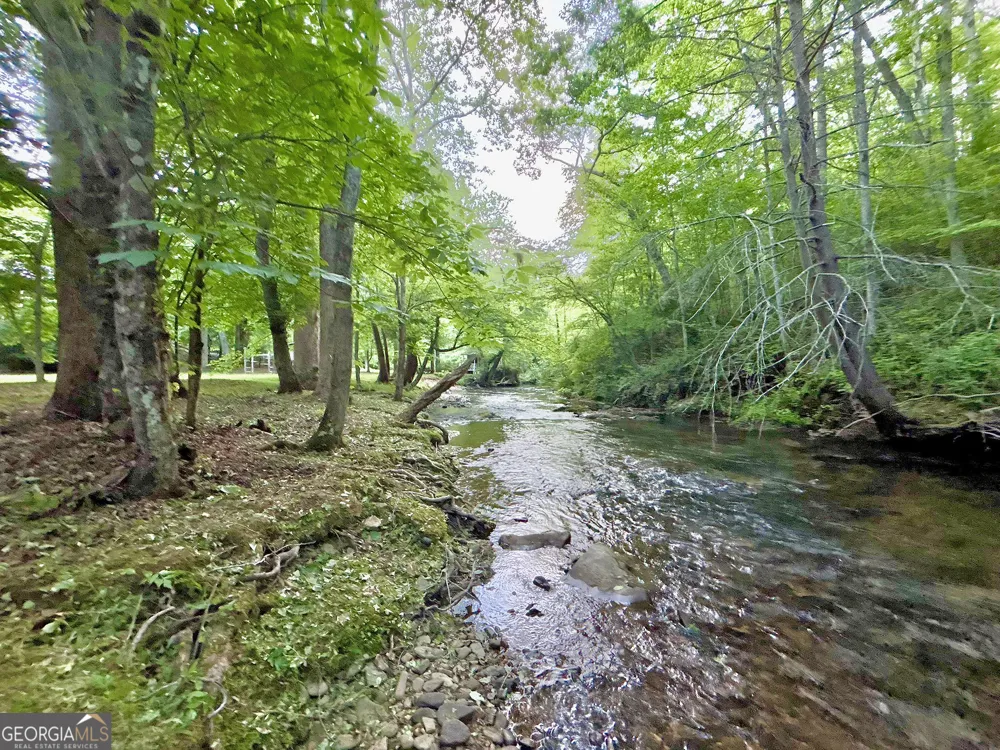 LT 5 Spiva Cove RD Blairsville, GA 30512