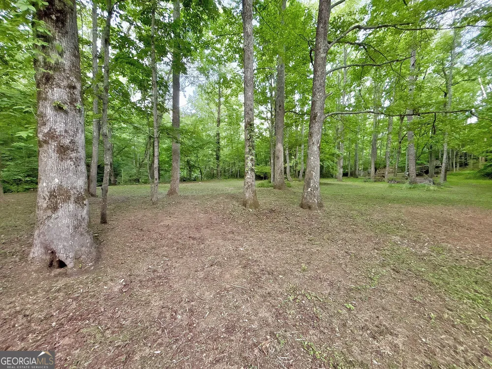 LT 5 Spiva Cove RD Blairsville, GA 30512