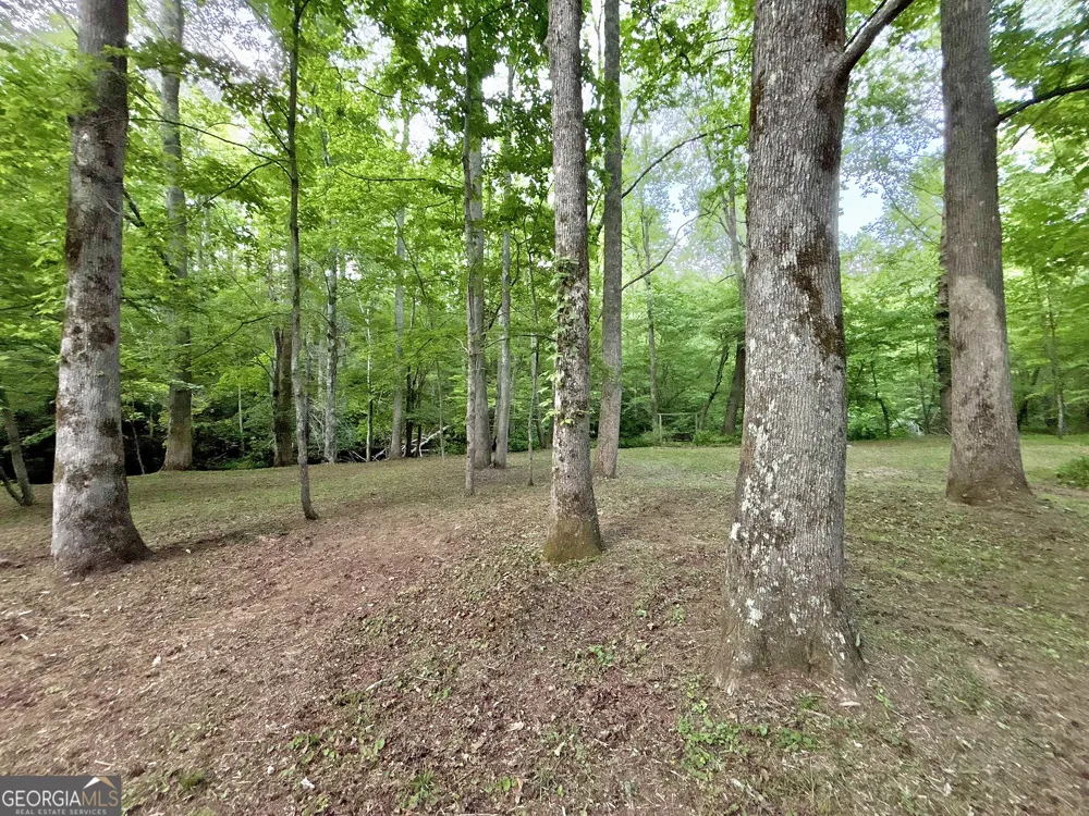 LT 5 Spiva Cove RD Blairsville, GA 30512