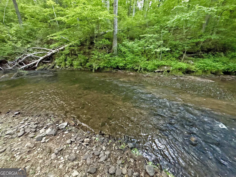 LT 5 Spiva Cove RD Blairsville, GA 30512