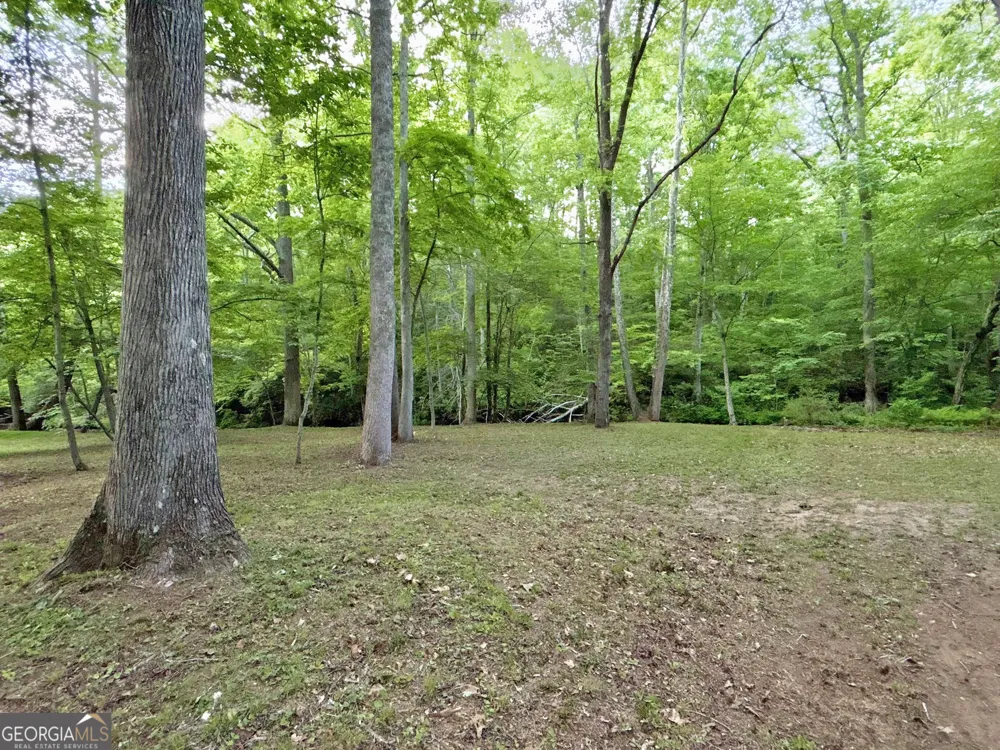 LT 5 Spiva Cove RD Blairsville, GA 30512