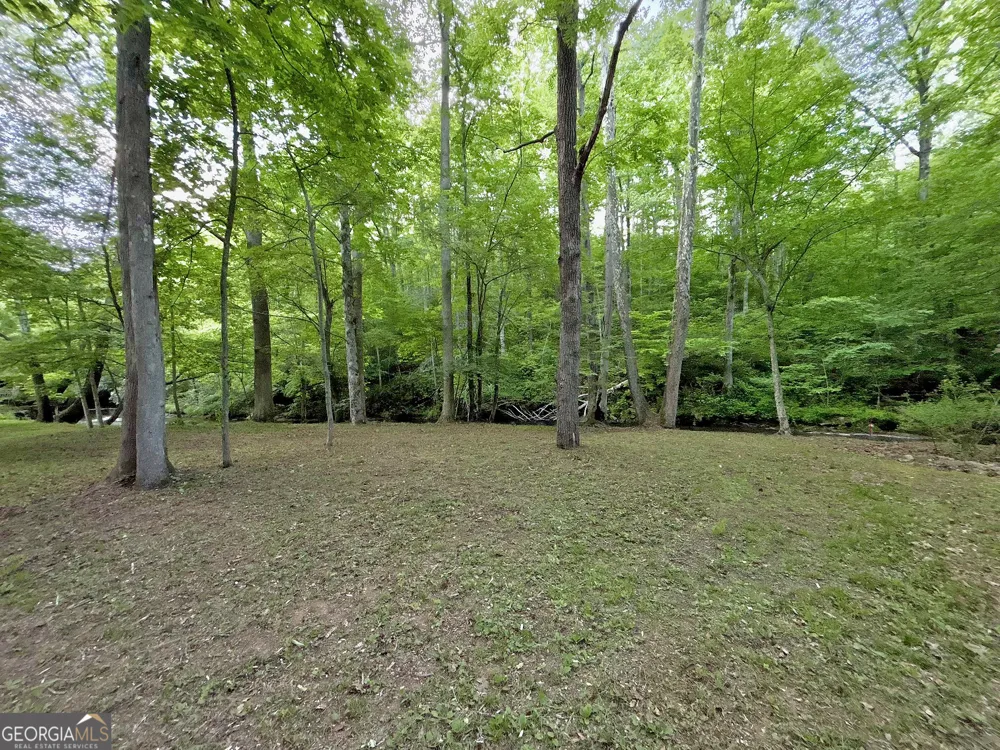 LT 5 Spiva Cove RD Blairsville, GA 30512