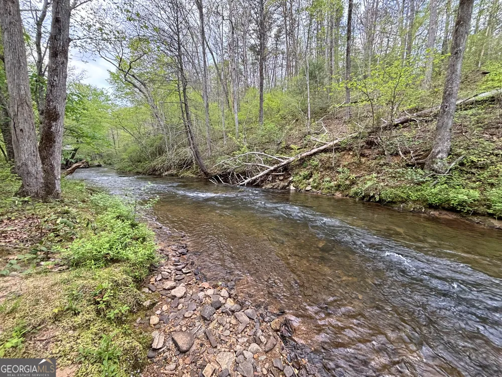 LT 5 Spiva Cove RD Blairsville, GA 30512