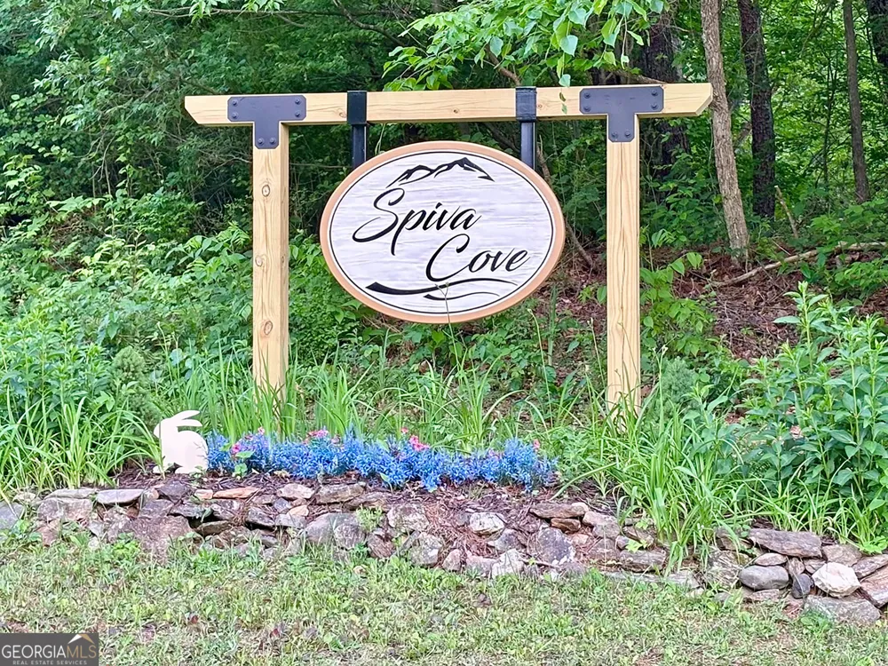 LT 5 Spiva Cove RD Blairsville, GA 30512