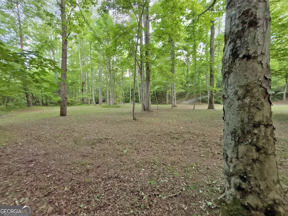LT 5 Spiva Cove RD Blairsville, GA 30512