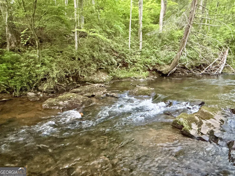 LT 5 Spiva Cove RD Blairsville, GA 30512