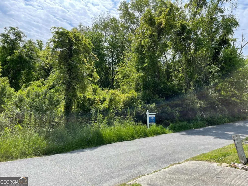 209 Lively ST Vidalia, GA 30474