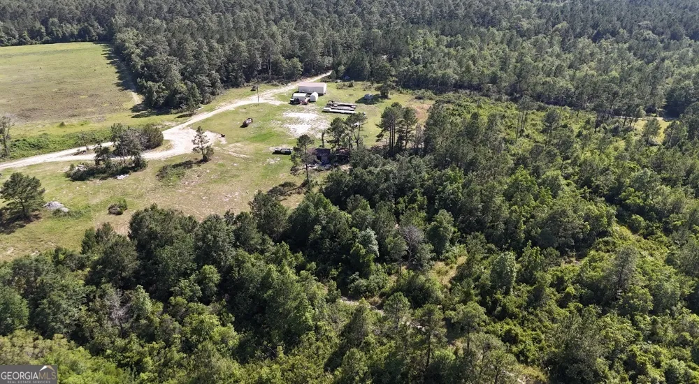1087 Green Morgan School RD Clyo, GA 31303