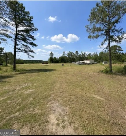1087 Green Morgan School RD Clyo, GA 31303