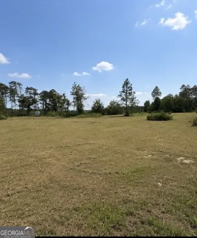 1087 Green Morgan School RD Clyo, GA 31303