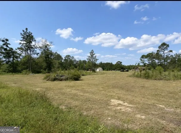 1087 Green Morgan School RD Clyo, GA 31303