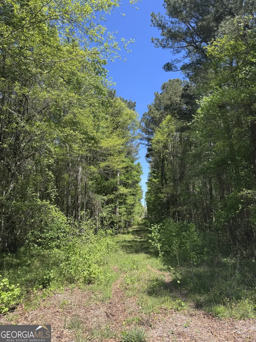 0 Roquemore RD Athens, GA 30607