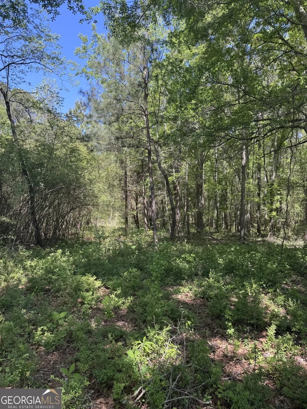 0 Roquemore RD Athens, GA 30607