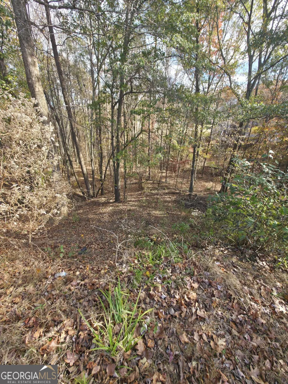 2412 Snowshoe BND Bethlehem, GA 30620