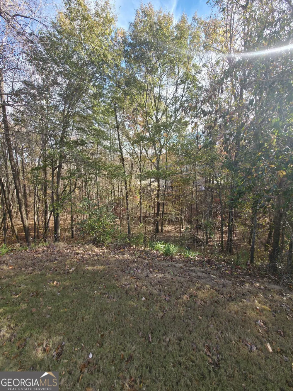 2412 Snowshoe BND Bethlehem, GA 30620