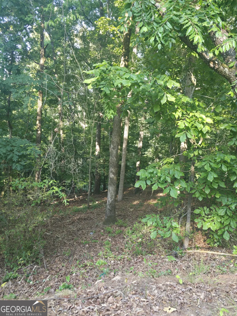 330 Caldwell CIR Athens, GA 30606