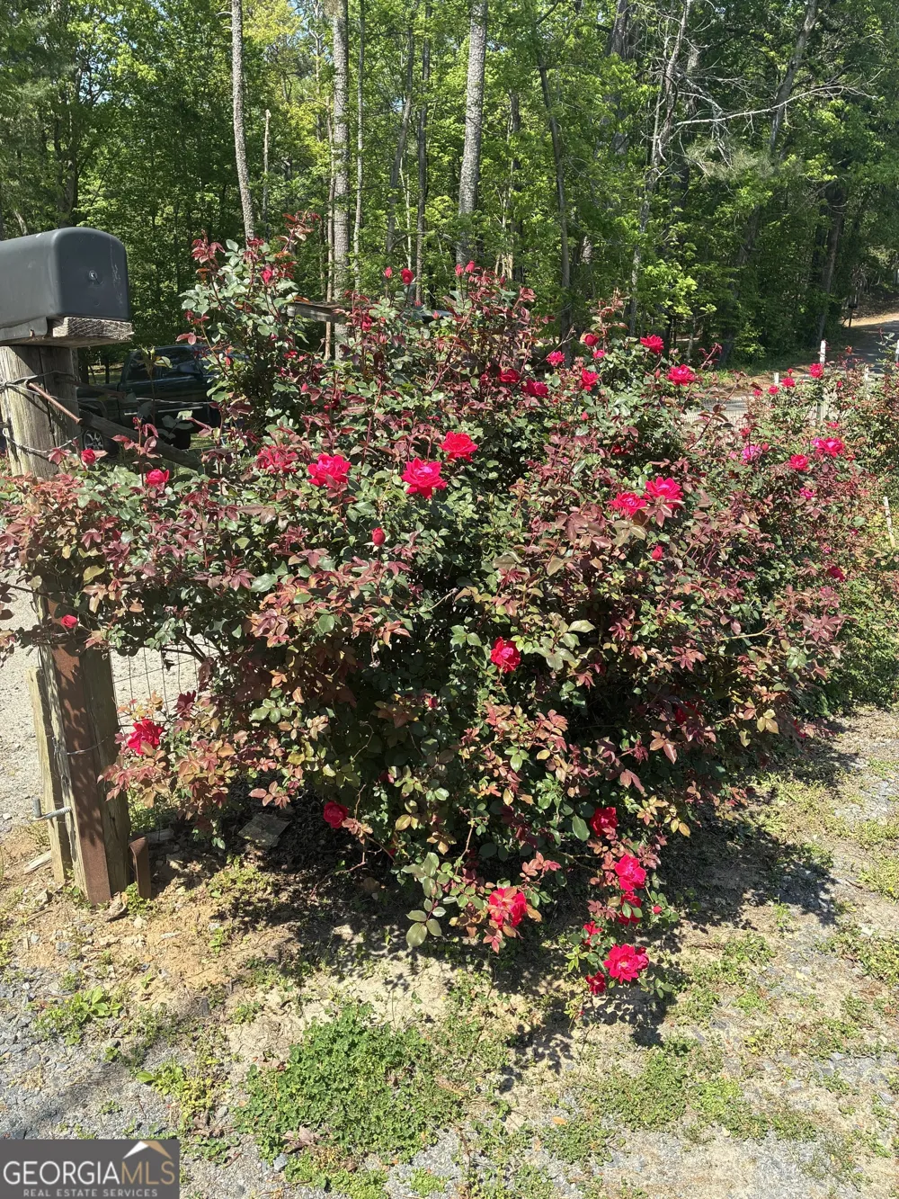 407 Knight DR Ellijay, GA 30540