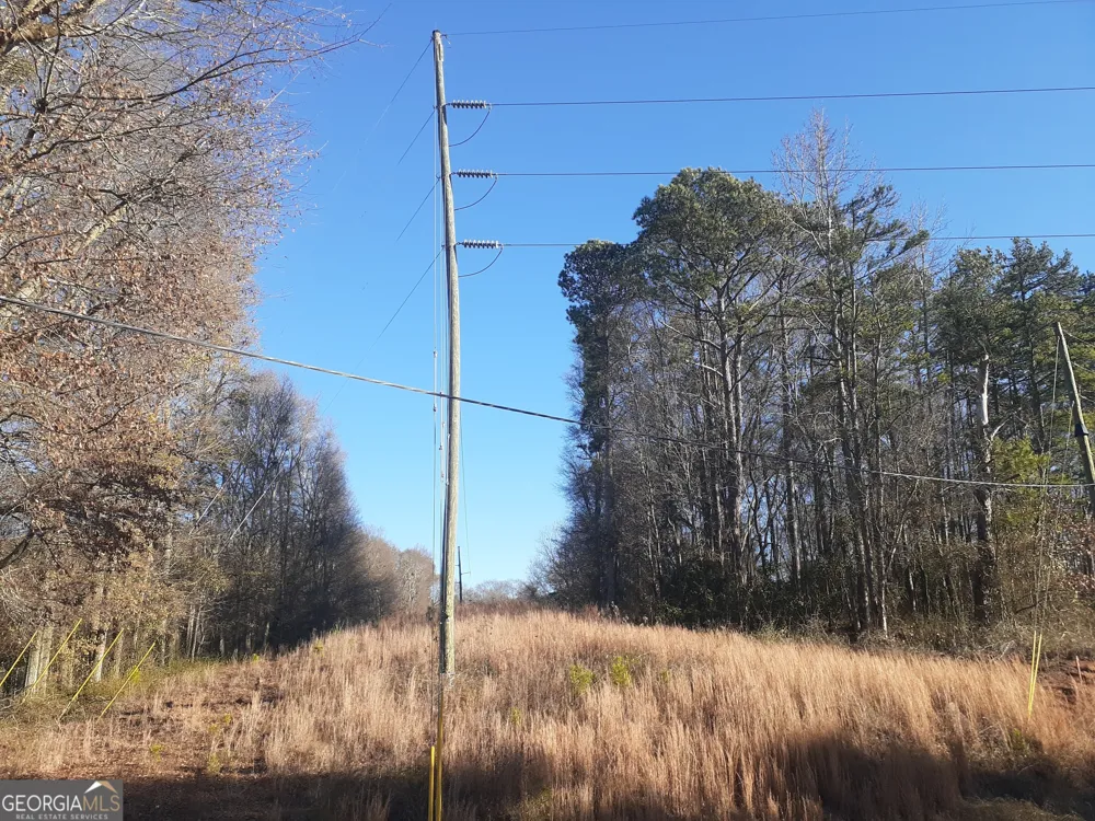 33 V C ST Newnan, GA 30263