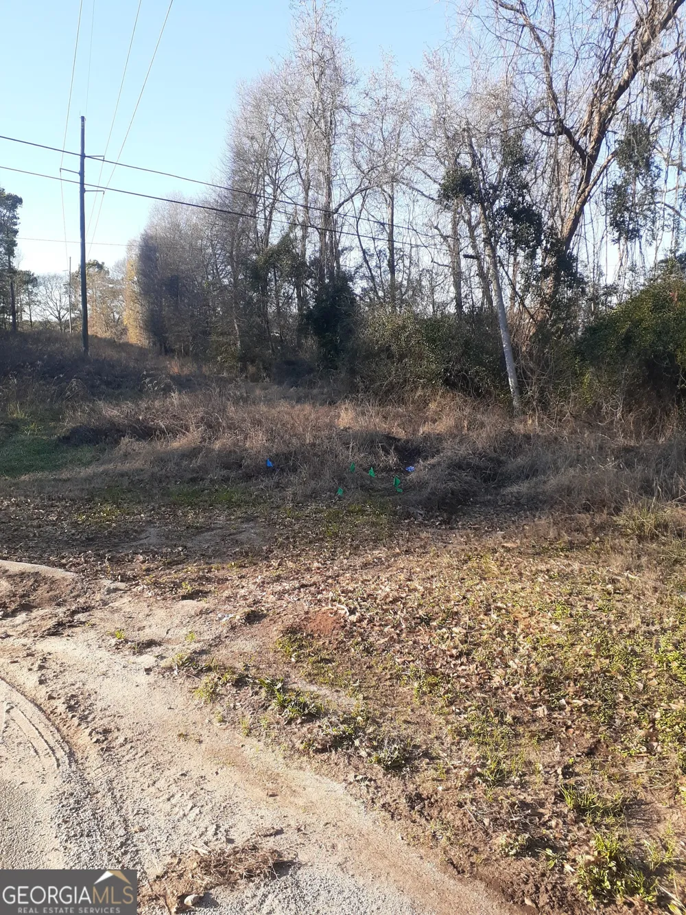 33 V C ST Newnan, GA 30263