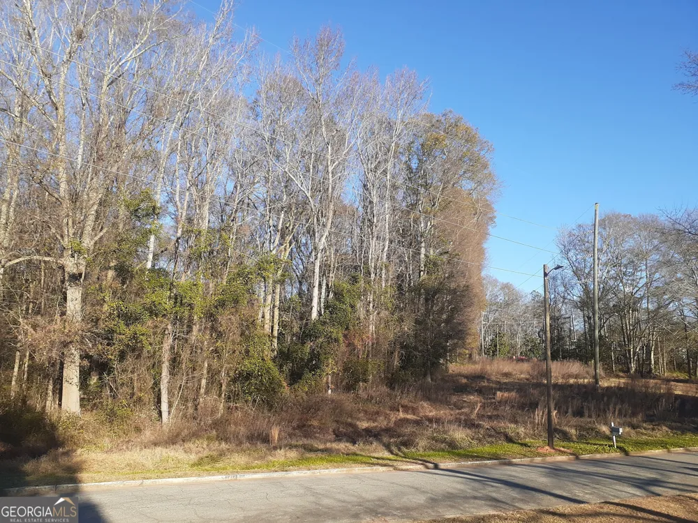 33 V C ST Newnan, GA 30263