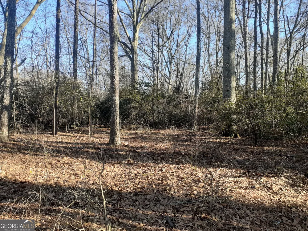 33 V C ST Newnan, GA 30263