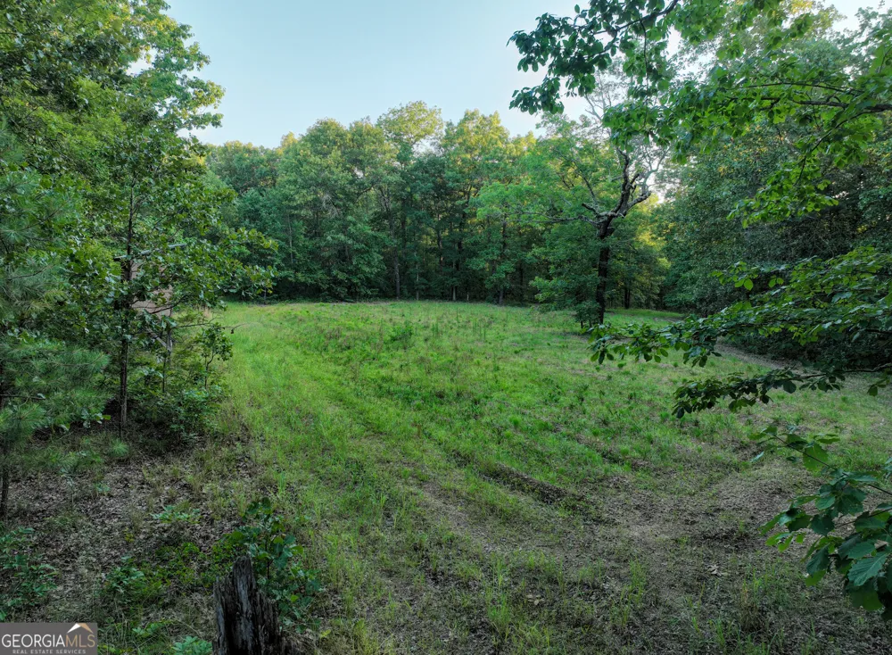 3270 Jeff Davis RD Thomaston, GA 30286