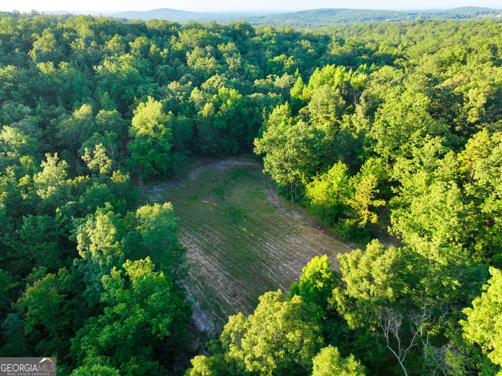 3270 Jeff Davis RD Thomaston, GA 30286