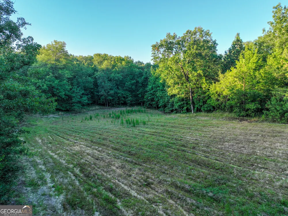 3270 Jeff Davis RD Thomaston, GA 30286