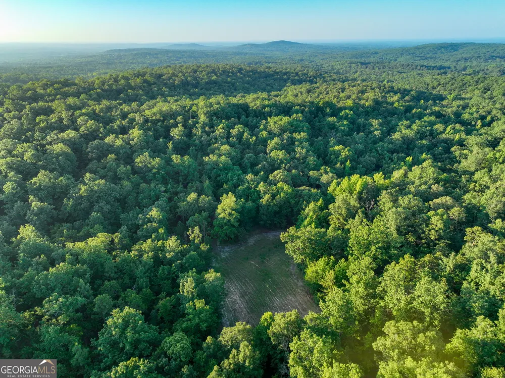 3270 Jeff Davis RD Thomaston, GA 30286