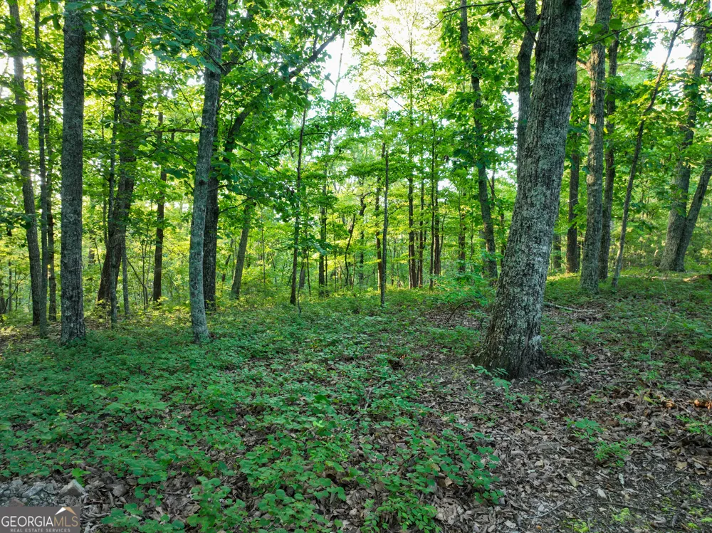 3270 Jeff Davis RD Thomaston, GA 30286