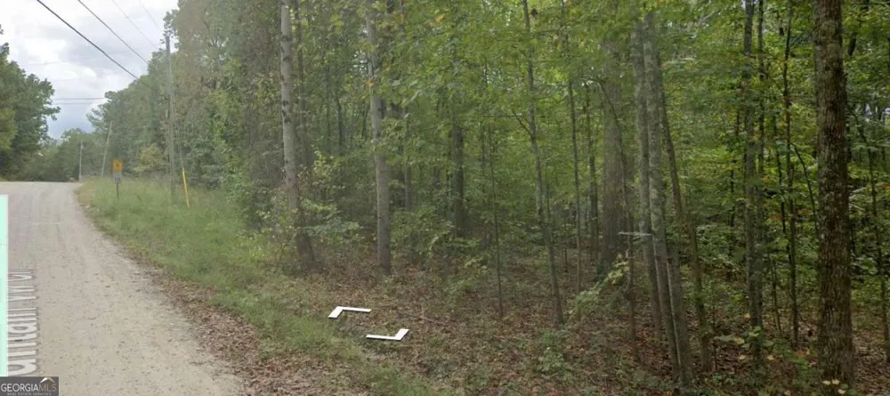 0 Mt View CIR Bremen, GA 30110