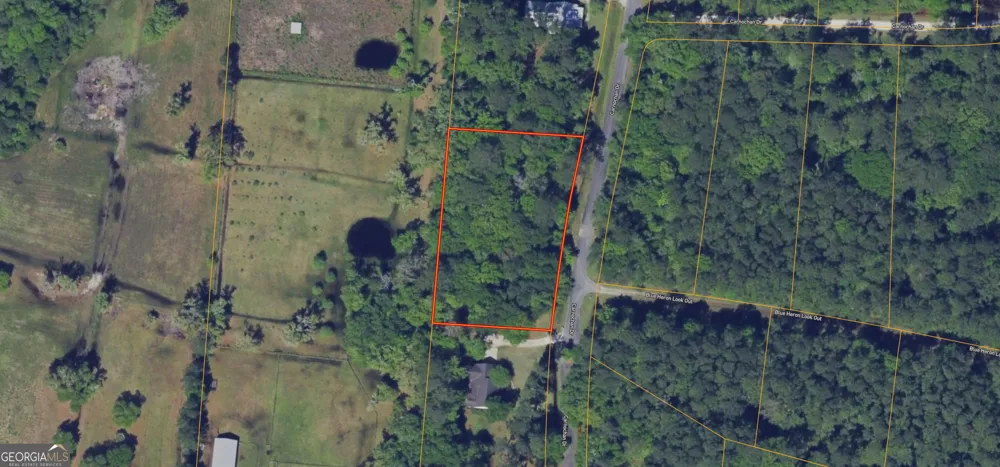 0 Carnochan DR Darien, GA 31305