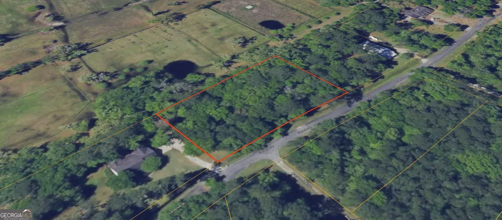 0 Carnochan DR Darien, GA 31305