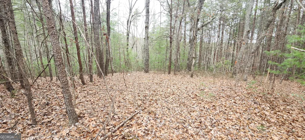 361 Vista Dell LN Tallulah Falls, GA 30573