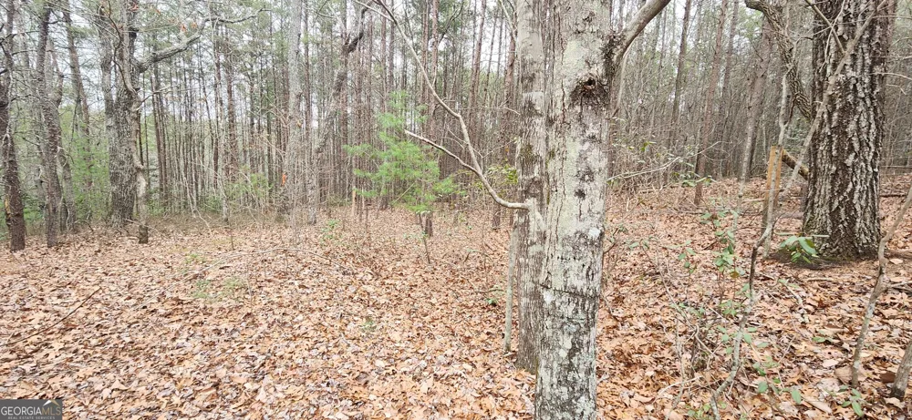 361 Vista Dell LN Tallulah Falls, GA 30573
