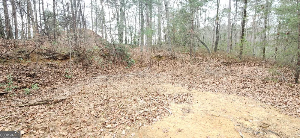 361 Vista Dell LN Tallulah Falls, GA 30573
