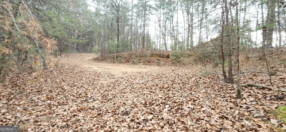 361 Vista Dell LN Tallulah Falls, GA 30573