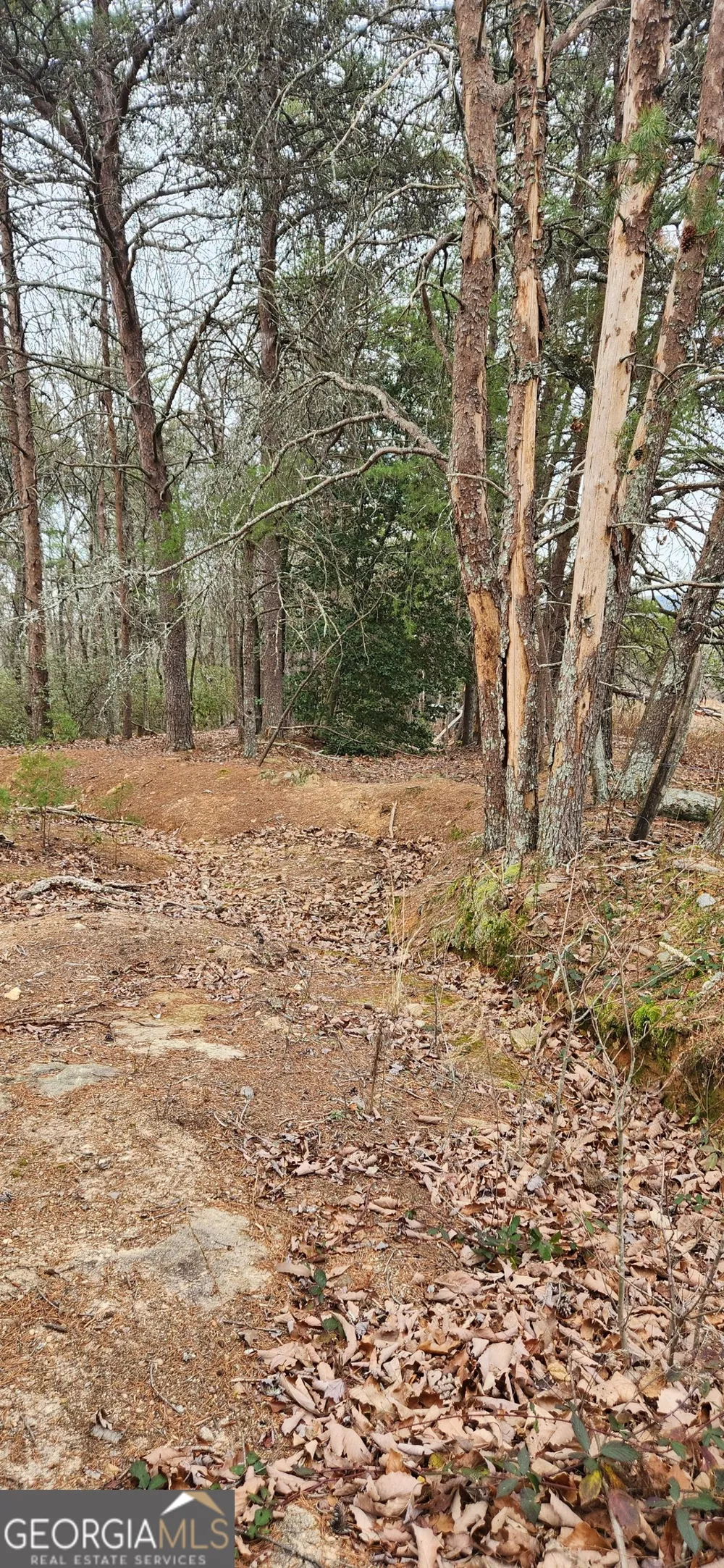 361 Vista Dell LN Tallulah Falls, GA 30573