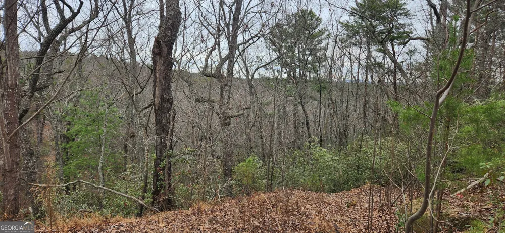 361 Vista Dell LN Tallulah Falls, GA 30573