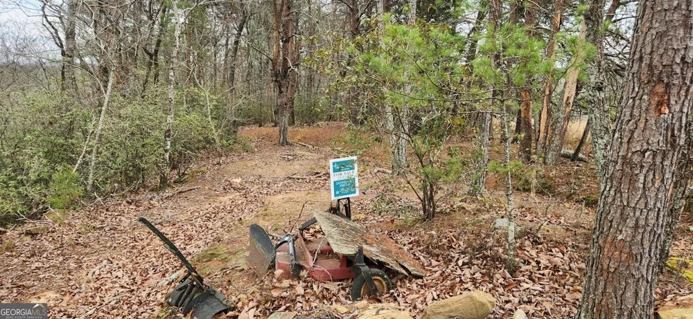 361 Vista Dell LN Tallulah Falls, GA 30573
