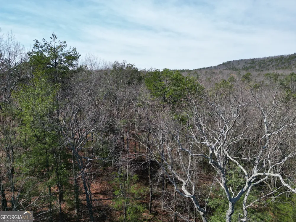 361 Vista Dell LN Tallulah Falls, GA 30573