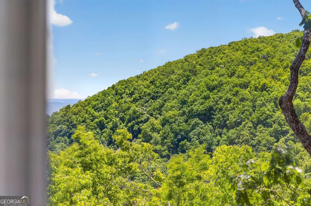 1091 Deer Run RDG Jasper, GA 30143