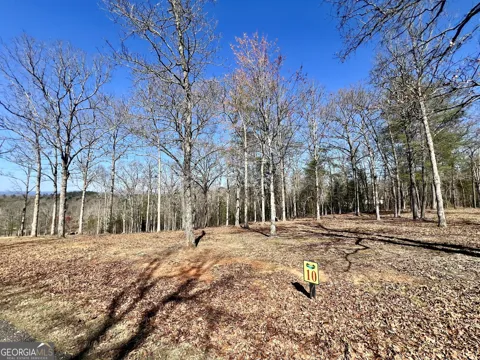 10 Arbor Creek TRL